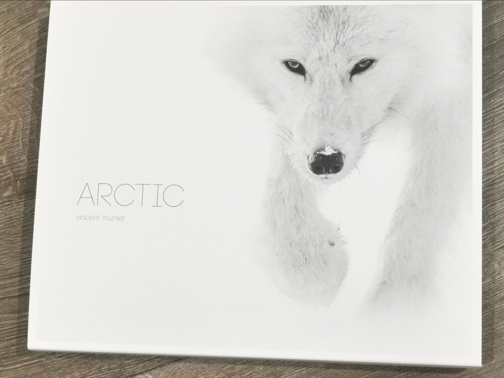 Book Recommendation: Arctic by Vincent Munier - Arild Heitmann